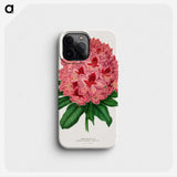 1-31_Nederlandsche-Flora-en-Pomona_phone