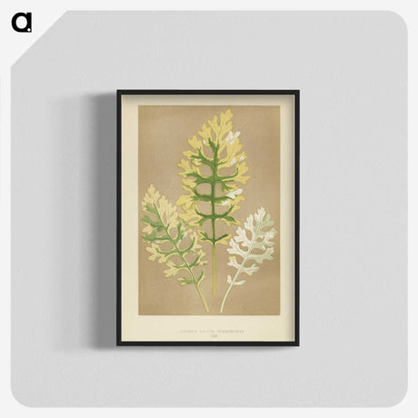 1-31_New-and-Rare-Beautiful-Leaved-Plants_blk-crop