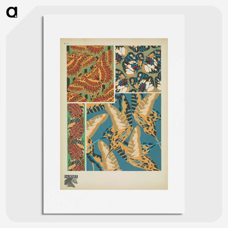 1-31_Papillons_picture