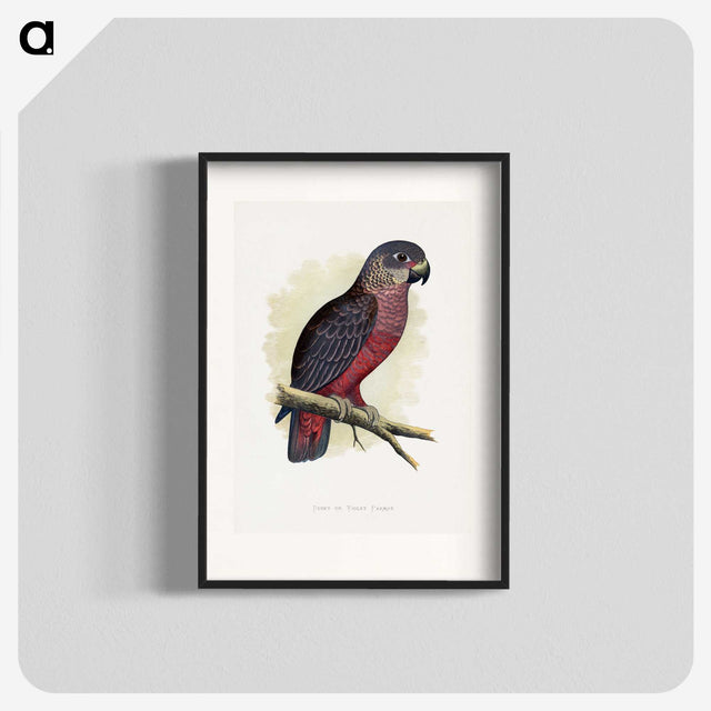 1-31_Parrots-in-Captivity_blk