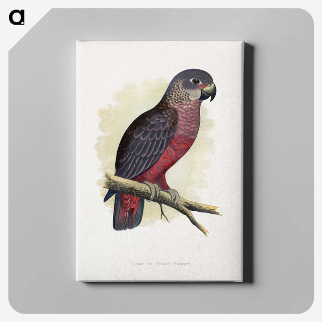 1-31_Parrots-in-Captivity_canvas