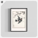 アートポスター-Hondo Great Spotted Woodpecker
 - 鳥類図鑑 Poster.