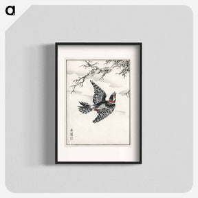 アートポスター-Hondo Great Spotted Woodpecker
 - 鳥類図鑑 Poster.