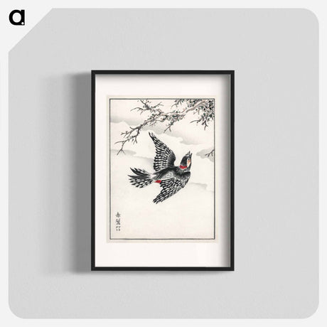 アートポスター-Hondo Great Spotted Woodpecker
 - 鳥類図鑑 Poster.