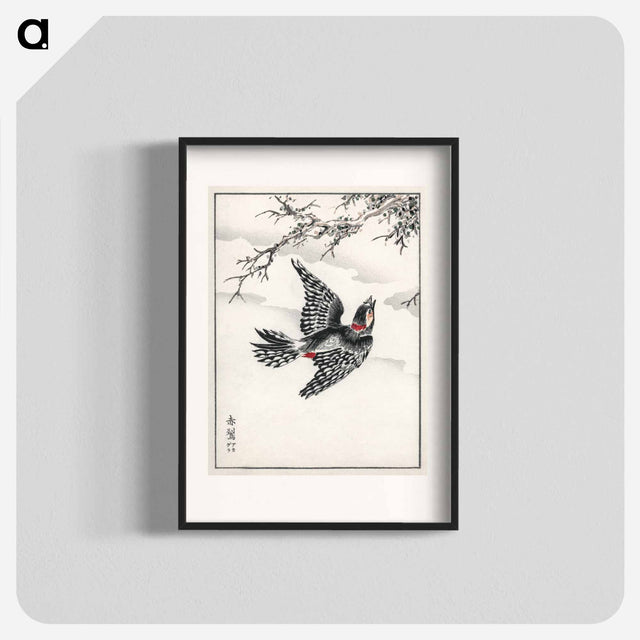 アートポスター-Hondo Great Spotted Woodpecker
 - 鳥類図鑑 Poster.