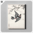 アートパネル-Hondo Great Spotted Woodpecker
 - 鳥類図鑑 Canvas.