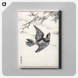 アートパネル-Hondo Great Spotted Woodpecker
 - 鳥類図鑑 Canvas.