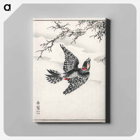 アートパネル-Hondo Great Spotted Woodpecker
 - 鳥類図鑑 Canvas.