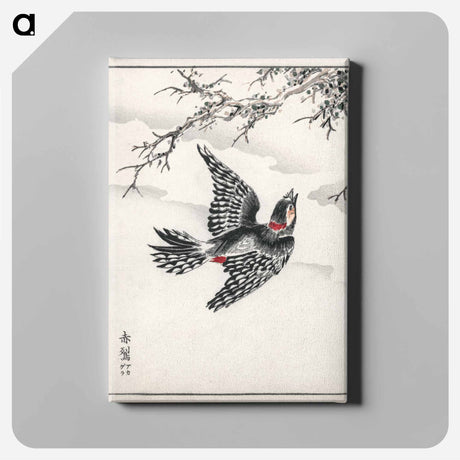 アートパネル-Hondo Great Spotted Woodpecker
 - 鳥類図鑑 Canvas.