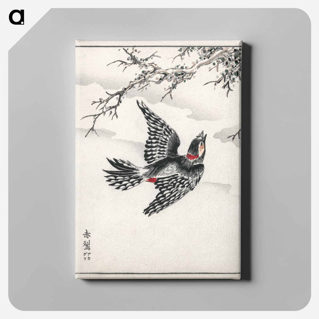 アートパネル-Hondo Great Spotted Woodpecker
 - 鳥類図鑑 Canvas.