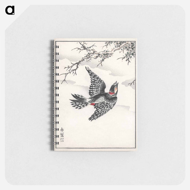 アートメモ帳-Hondo Great Spotted Woodpecker
 - 鳥類図鑑 Memo.