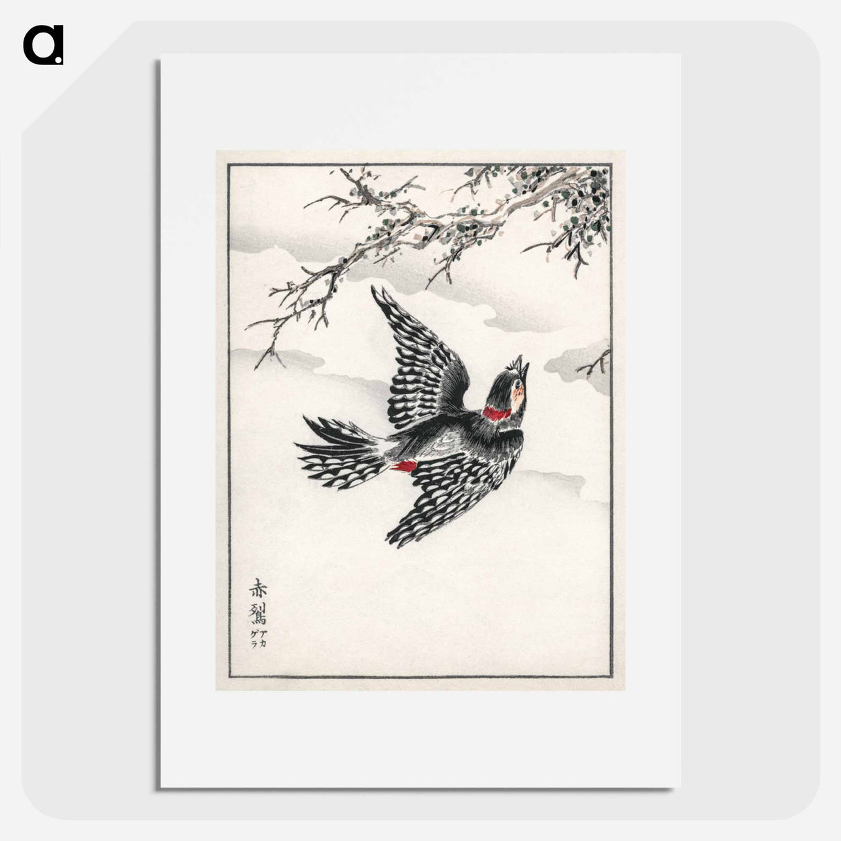 アートポスター-Hondo Great Spotted Woodpecker
 - 鳥類図鑑 Poster.