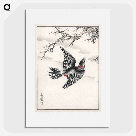 アートポスター-Hondo Great Spotted Woodpecker
 - 鳥類図鑑 Poster.