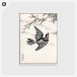 アートポストカード-Hondo Great Spotted Woodpecker
 - 鳥類図鑑 Postcard.