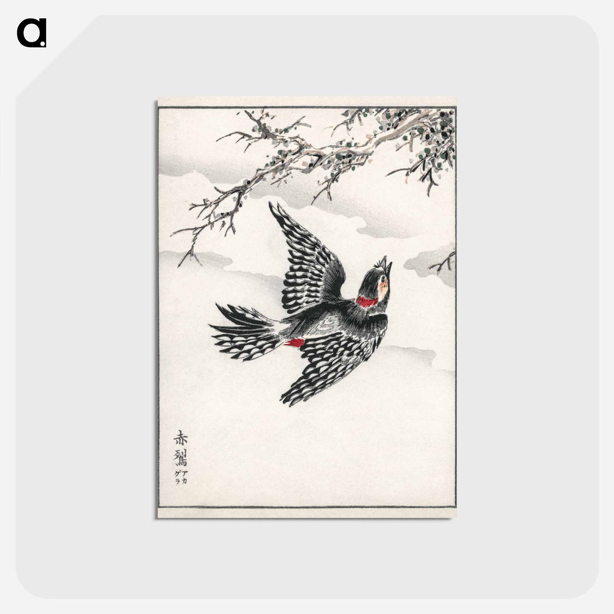 アートポストカード-Hondo Great Spotted Woodpecker
 - 鳥類図鑑 Postcard.