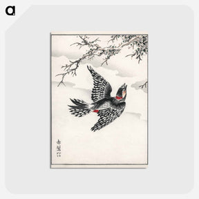 アートポストカード-Hondo Great Spotted Woodpecker
 - 鳥類図鑑 Postcard.