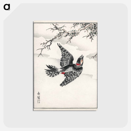 アートポストカード-Hondo Great Spotted Woodpecker
 - 鳥類図鑑 Postcard.