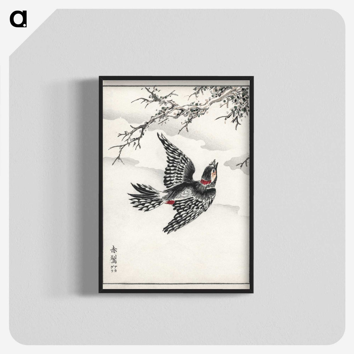 1-31_Pictorial-Monograph-of-Birds_blk-crop