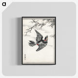 1-31_Pictorial-Monograph-of-Birds_blk-crop