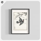 1-31_Pictorial-Monograph-of-Birds_blk