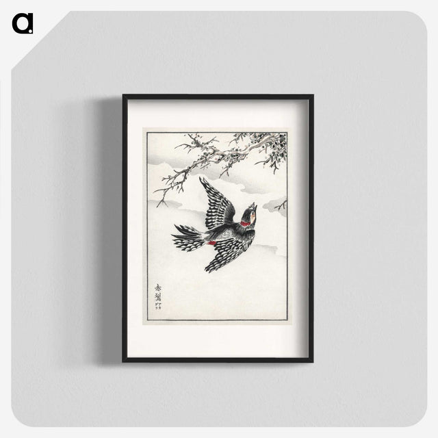 1-31_Pictorial-Monograph-of-Birds_blk
