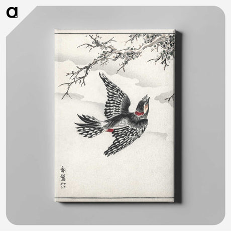 1-31_Pictorial-Monograph-of-Birds_canvas