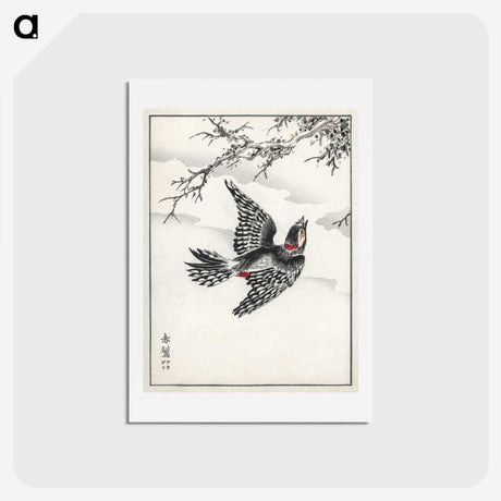 1-31_Pictorial-Monograph-of-Birds_hagaki