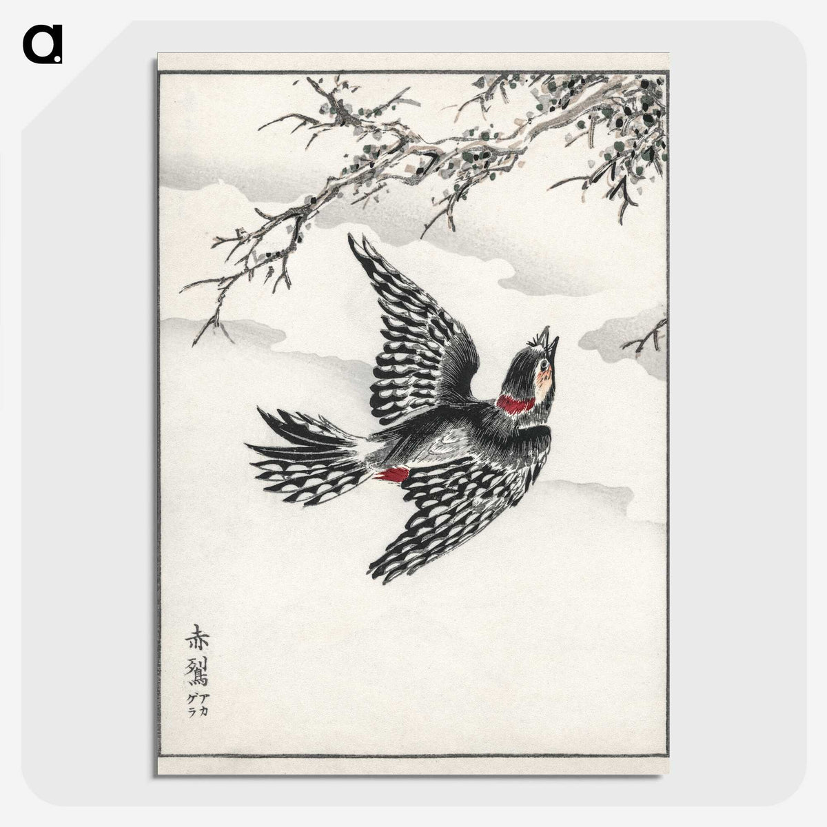 1-31_Pictorial-Monograph-of-Birds_picture-crop