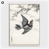 1-31_Pictorial-Monograph-of-Birds_picture-crop