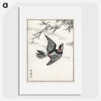 1-31_Pictorial-Monograph-of-Birds_picture