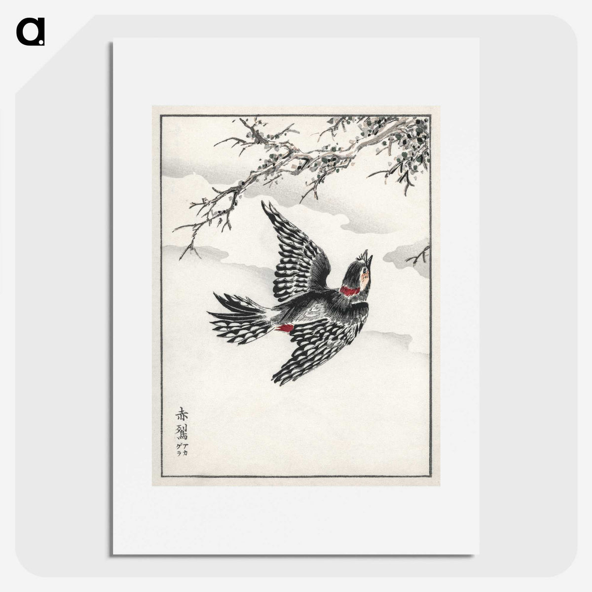 1-31_Pictorial-Monograph-of-Birds_picture