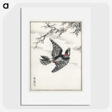 1-31_Pictorial-Monograph-of-Birds_picture