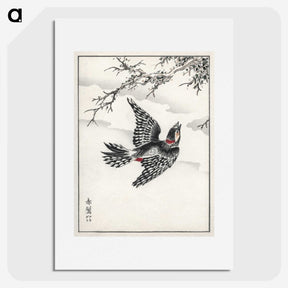 1-31_Pictorial-Monograph-of-Birds_picture