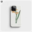 1-31_Pierre-Joseph-Redoute_phone