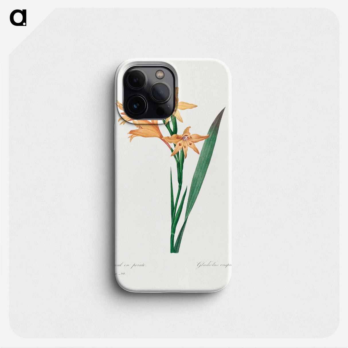 Gladiolus - ピエール ジョゼフ ルドゥーテ Phone Case.