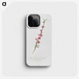 1-31_Pomona-Italiana_phone