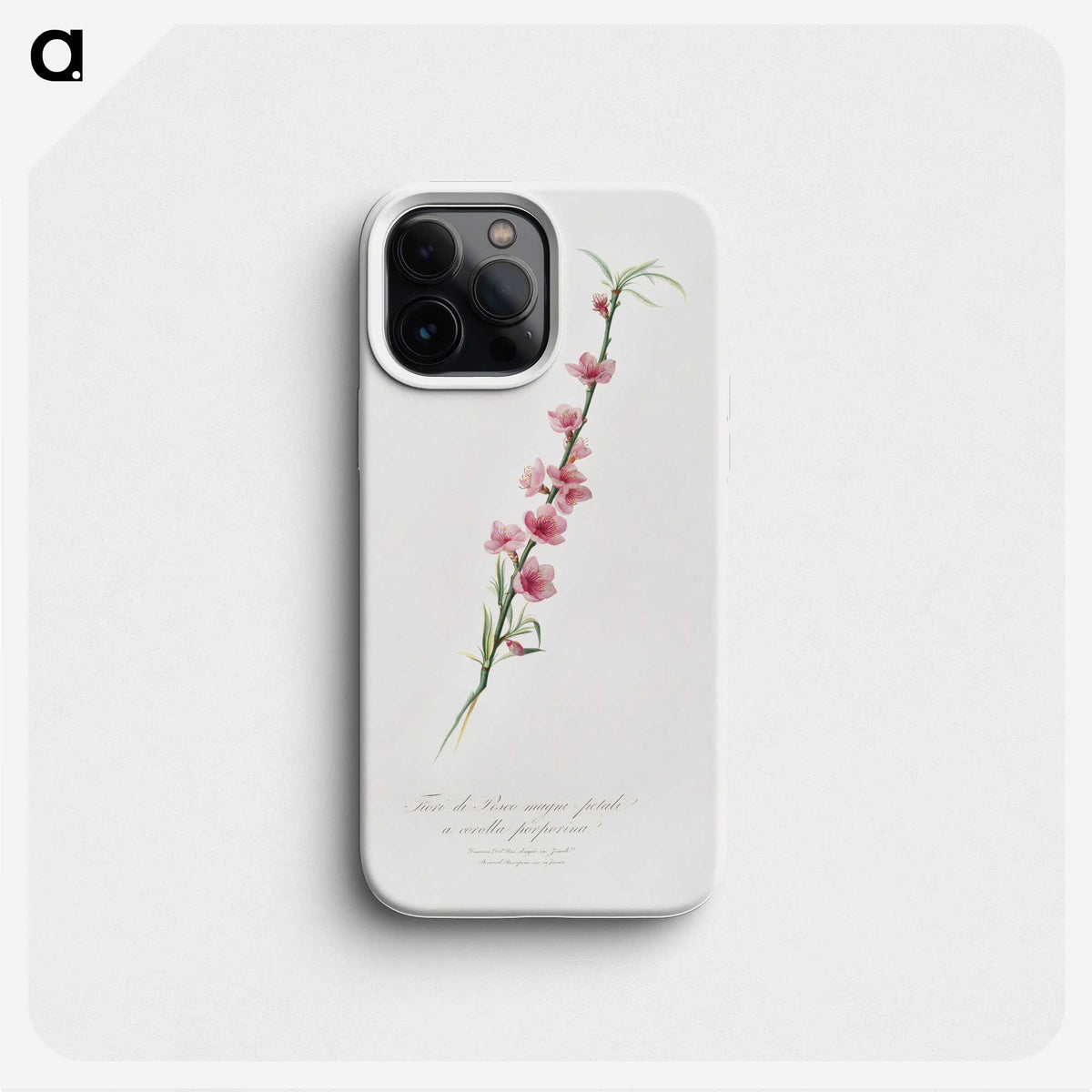 1-31_Pomona-Italiana_phone