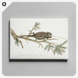 1-31_Robert-Jacob-Gordon_canvas