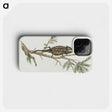 1-31_Robert-Jacob-Gordon_phone