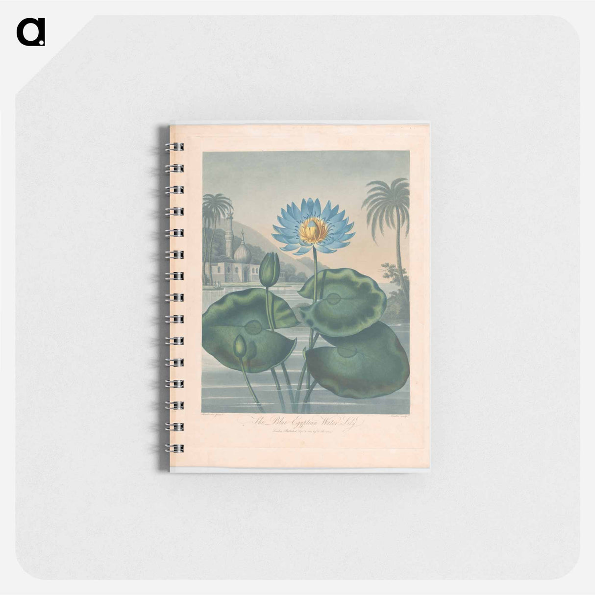 アートメモ帳-The Blue Egyptian Water Lily
 - ロバート ジョン ソーントン Memo.