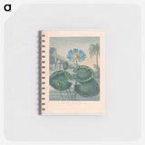 アートメモ帳-The Blue Egyptian Water Lily
 - ロバート ジョン ソーントン Memo.