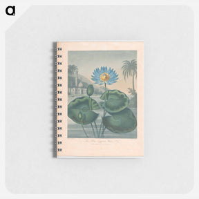 アートメモ帳-The Blue Egyptian Water Lily
 - ロバート ジョン ソーントン Memo.