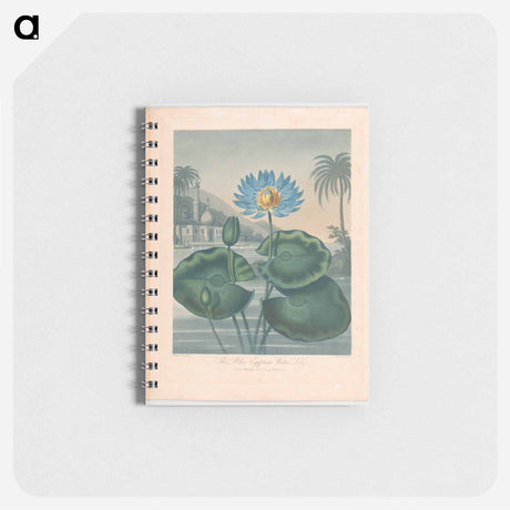 アートメモ帳-The Blue Egyptian Water Lily
 - ロバート ジョン ソーントン Memo.