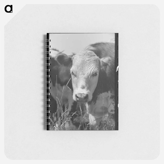 アートメモ帳-Old Weathervane on Farm
 - ラッセル リー Memo.