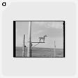 アートポストカード-Old Weathervane on Farm
 - ラッセル リー Postcard.