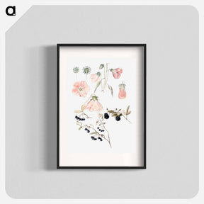 アートポスター-Botanical Detail Studies: Hollyhocks, Blueberries, and Blackberries - サミュエル コールマン Poster.