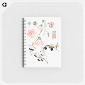 アートメモ帳-Botanical Detail Studies: Hollyhocks, Blueberries, and Blackberries - サミュエル コールマン Memo.