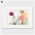 1-31_Seiyo-Soka-Zufu_picture
