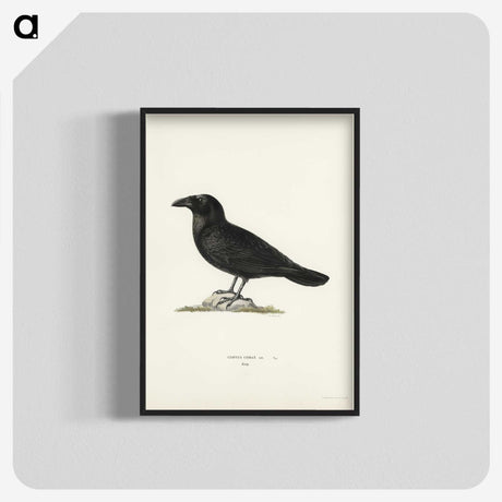 1-31_Svenska-Faglar_blk-crop