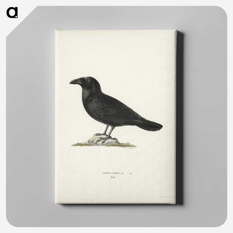 1-31_Svenska-Faglar_canvas